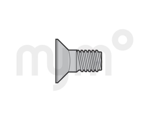 Tornillo avellanado M5 × 12, Torx de Hörmann 3092705