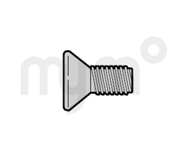Tornillo avellanado M5 × 12, Torx de Hörmann 4005211