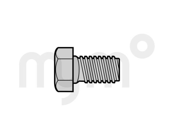 Tornillo hexagonal con extremo biselado de Hörmann