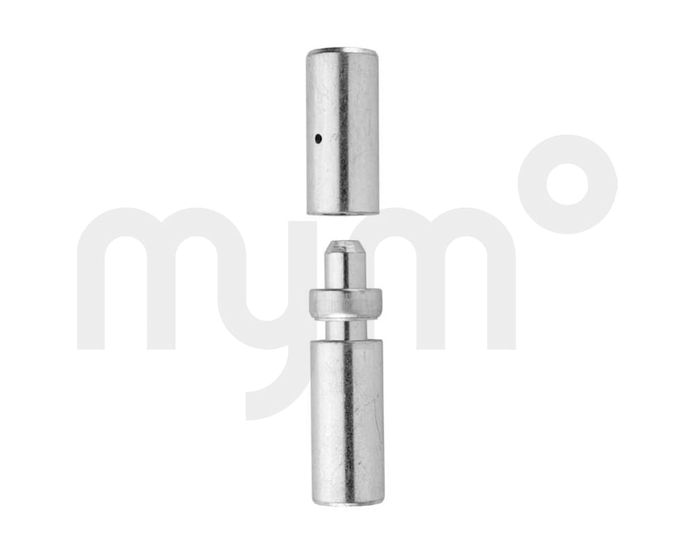 PERNIO INOX 303 20X120 C/RODAMIENTO AXIAL 30420034